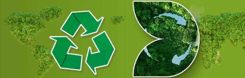 Célébration de la Journée de l'Environnement : Notre Engagement envers la Durabilité